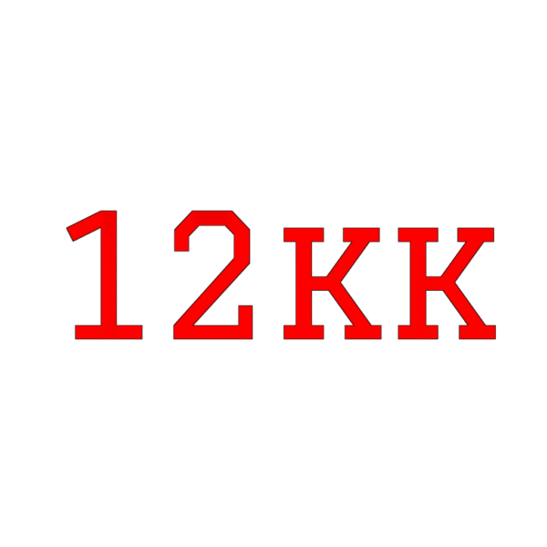 12 kuukauden kuntosalijäsenyys